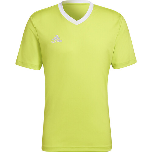ADIDAS ENTRADA 22 amarillo