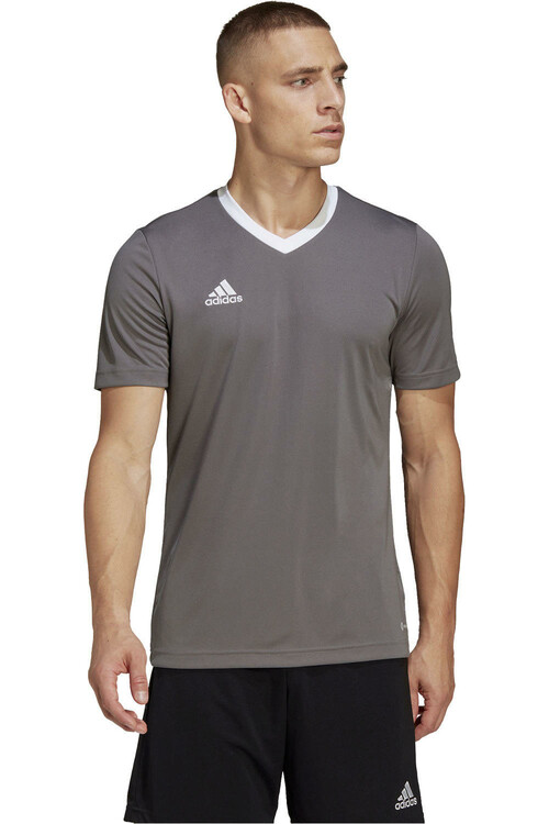 ADIDAS CAMISETA ENTRADA 22 gris