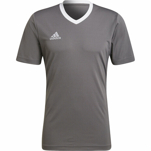 ADIDAS CAMISETA ENTRADA 22 gris