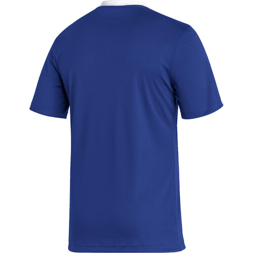 ADIDAS CAMISETA ENTRADA 22 azul