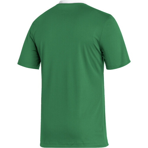 ADIDAS ENT22 JSY verde