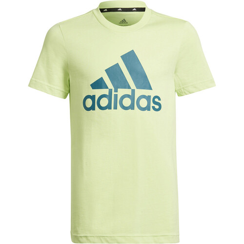 ADIDAS B BL T verde