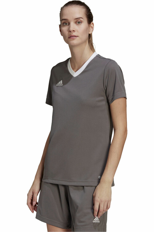 ADIDAS ENTRADA 22 gris