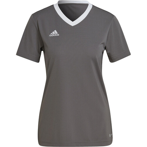 ADIDAS ENTRADA 22 gris