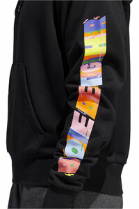 adidas sudadera hombre Adidas PRIDE HOODIE 04 adidas sudadera hombre Adidas PRIDE HOODIE 04