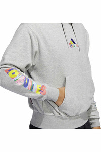 adidas sudadera hombre Adidas PRIDE HOODIE 03 adidas sudadera hombre Adidas PRIDE HOODIE 03