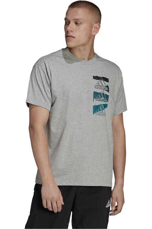 ADIDAS M BL Q2 T GR gris