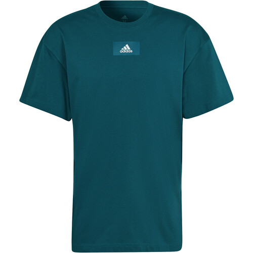 ADIDAS M FV T VE verde