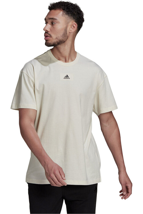 ADIDAS M FV T BE marron