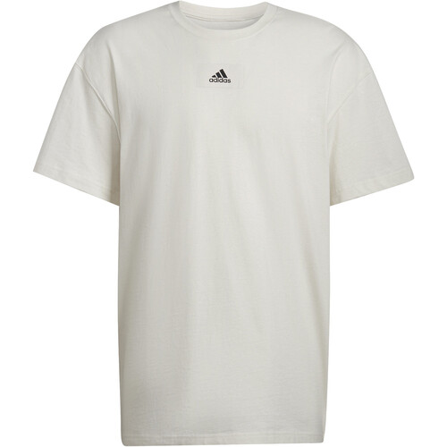 ADIDAS M FV T BE marron