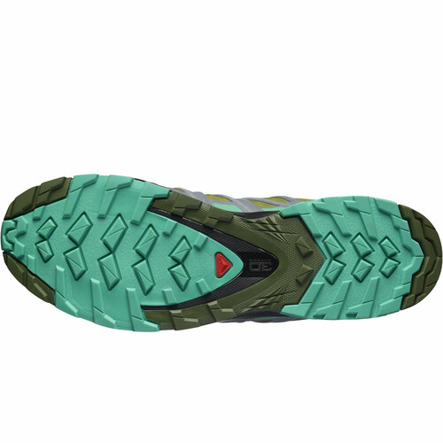 SALOMON XA PRO 3D V8 GTX gris