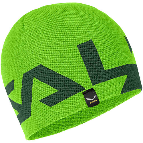 SALEWA ANTELAO 2 REVERSIBLE WO BEANIE verde