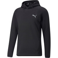 Evostripe Hoodie Evostripe Hoodie