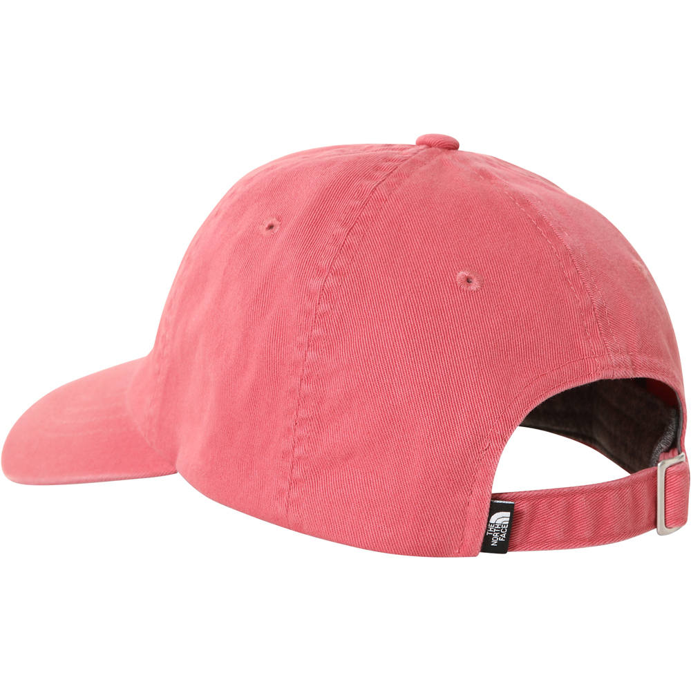 The North Face gorros montaña The North Face HRZNTL EMB BALLCAP 01 The North Face gorros montaña The North Face HRZNTL EMB BALLCAP 01