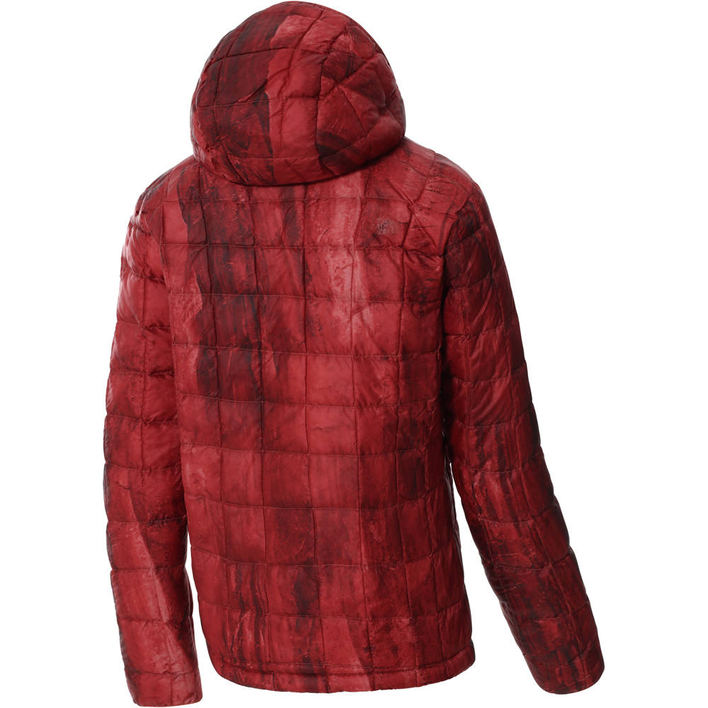 The North Face chaqueta outdoor hombre The North Face M PRNT TBALL E HD vista trasera The North Face chaqueta outdoor hombre The North Face M PRNT TBALL E HD vista trasera
