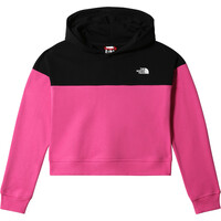 The North Face camiseta montaña manga larga niño The North Face G DRW PK CR PO HD vista frontal The North Face camiseta montaña manga larga niño The North Face G DRW PK CR PO HD vista frontal