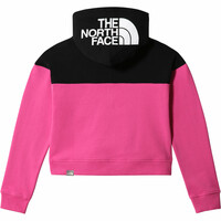 The North Face camiseta montaña manga larga niño The North Face G DRW PK CR PO HD vista trasera The North Face camiseta montaña manga larga niño The North Face G DRW PK CR PO HD vista trasera