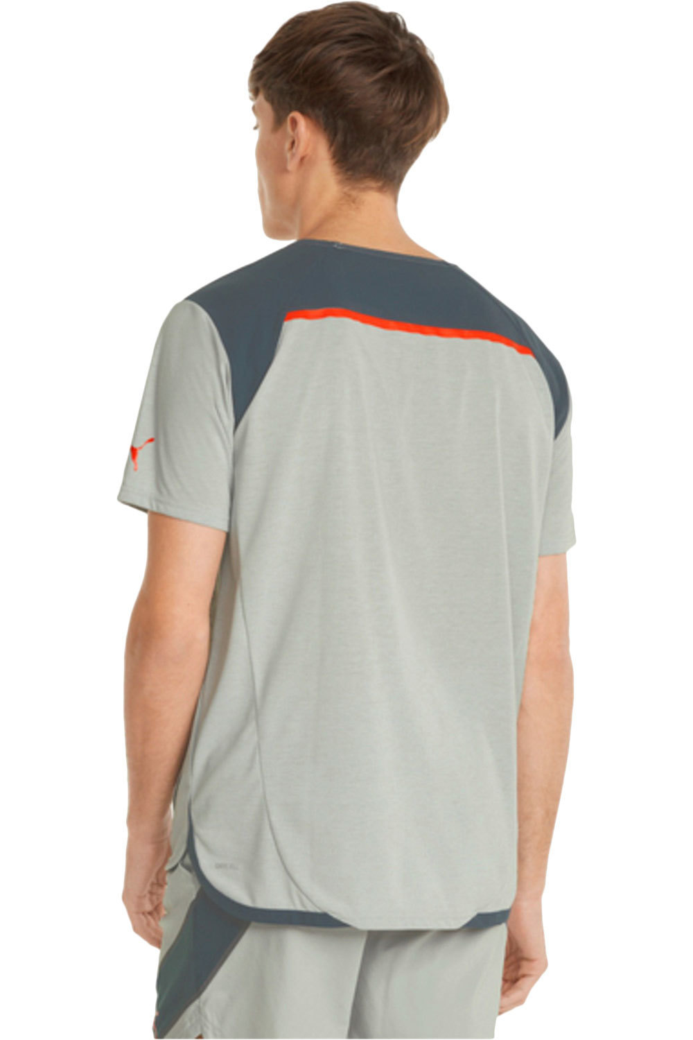 Puma camiseta fitness hombre Puma TRAIN EVERFRESH SS T vista trasera Puma camiseta fitness hombre Puma TRAIN EVERFRESH SS T vista trasera
