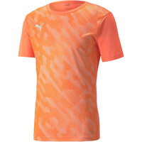 individualRISE Graph individualRISE Graph