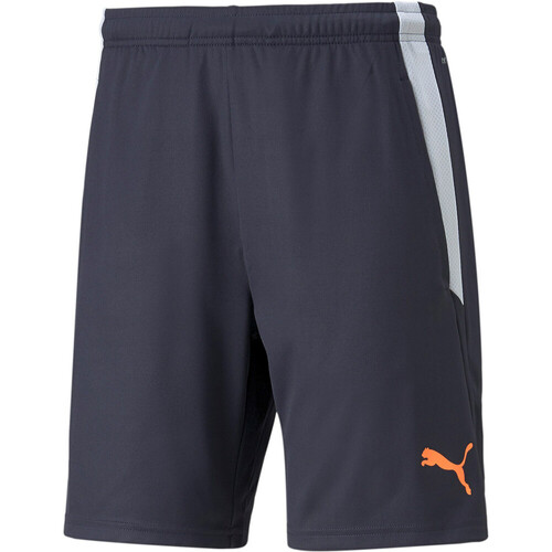 PUMA TEAMLIGA TRAINING SH gris