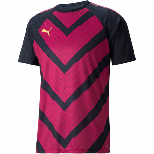PUMA TEAMLIGA GRAPHIC JER gris