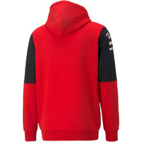 Puma sudadera hombre Puma SF Team Hoodie vista trasera Puma sudadera hombre Puma SF Team Hoodie vista trasera