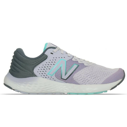 NEW BALANCE 520V7 gris