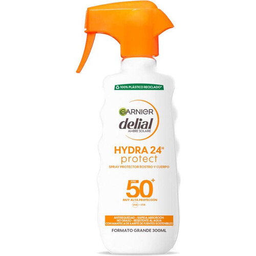 DELIAL PISTOLA IP50 300ML