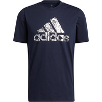 M FOIL BOS G T M FOIL BOS G T