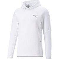 Evostripe Hoodie Evostripe Hoodie