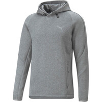 Evostripe Hoodie Evostripe Hoodie