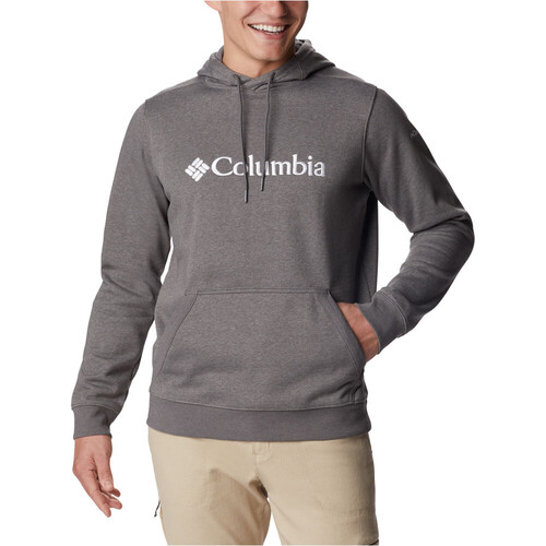 COLUMBIA CSC BASIC LOGO II HOODIE gris