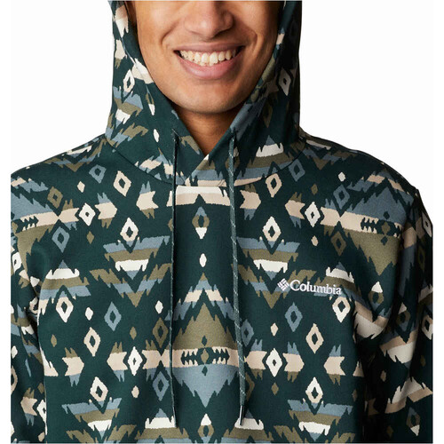 COLUMBIA M COLUMBIA LOGO PRINTED HOODIE verde