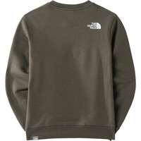 The North Face camiseta montaña manga larga niño The North Face TEENS BOX CREW vista trasera The North Face camiseta montaña manga larga niño The North Face TEENS BOX CREW vista trasera